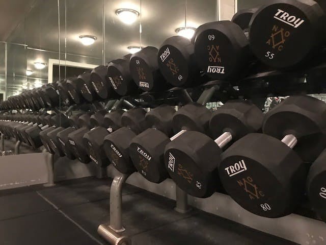 Rack of dumbbells inside the gym. The dumbbells are black and have the logo of N.O.A.C. below the brand name "TROY" in gold.